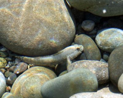 Прикрепленное изображение: DSCF7951.jpg